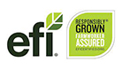 Certificado EFI